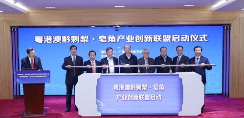 王老吉刺檸吉再出新品,廣藥牽頭成立相關(guān)產(chǎn)業(yè)創(chuàng)新聯(lián)盟