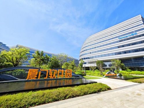 廈門思明 打造人工智能生態(tài)圈 為新質(zhì)生產(chǎn)力蓄勢賦能