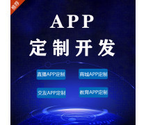 廈門應用軟件開發