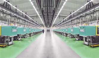 廈門為高技術(shù) 高成長(zhǎng) 高附加值企業(yè)成長(zhǎng)播撒甘露